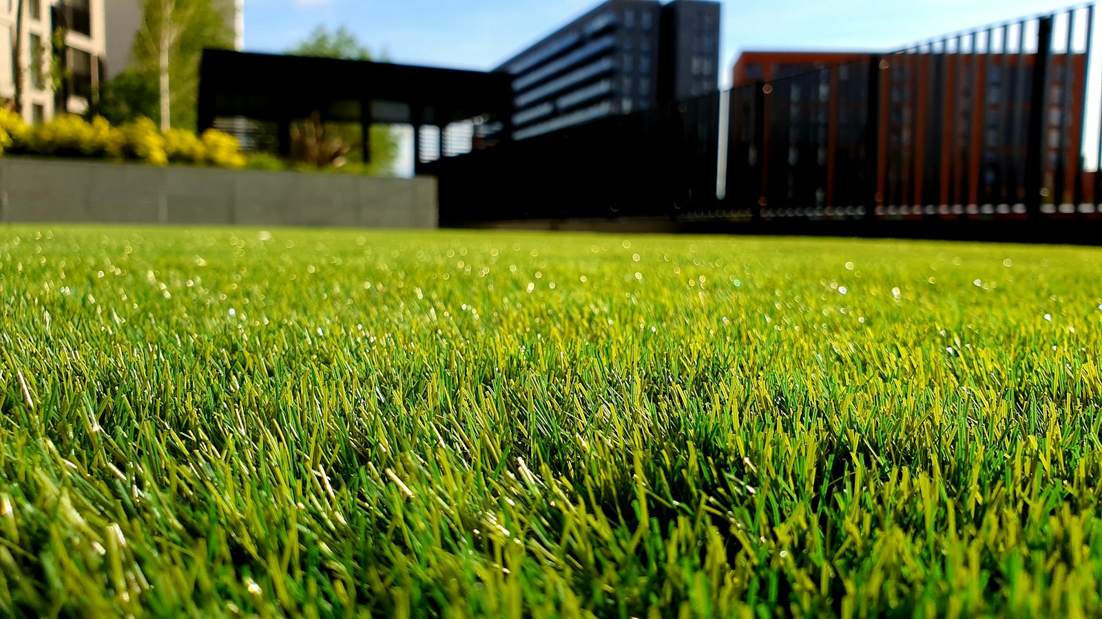 Lawn care in Kansas City, Missouri
